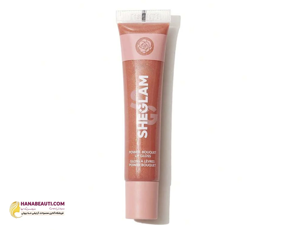 لیپ گلاس رنگی براق و مرطوب کننده لب شیگلم مدل پاور بوکت رنگ  pink slip